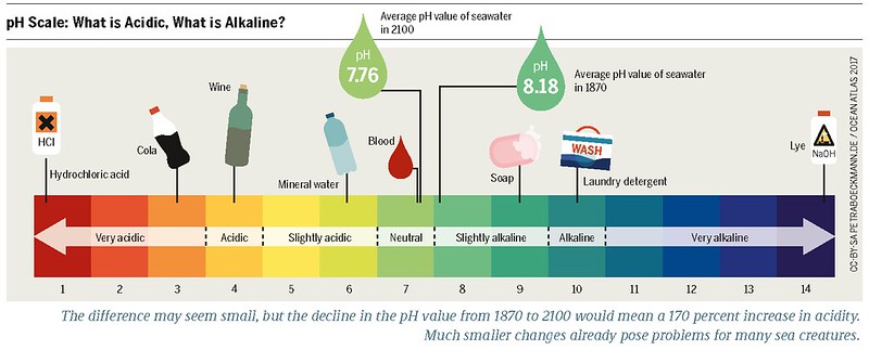 does coffee lower the ph of your urine