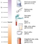 Ph -Scales