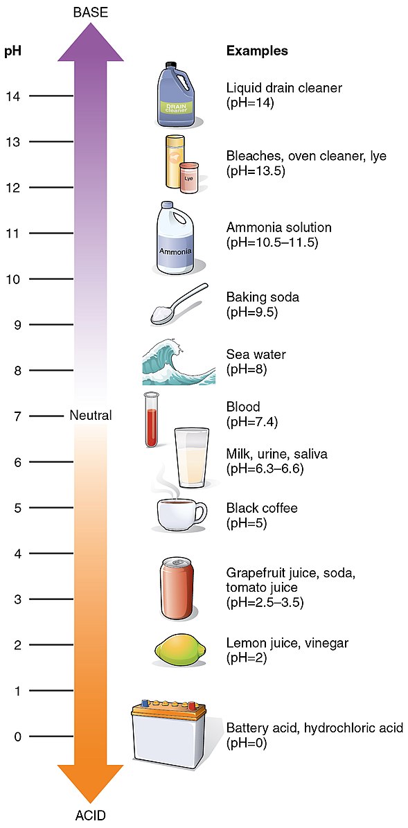 ph of sea water and coffee