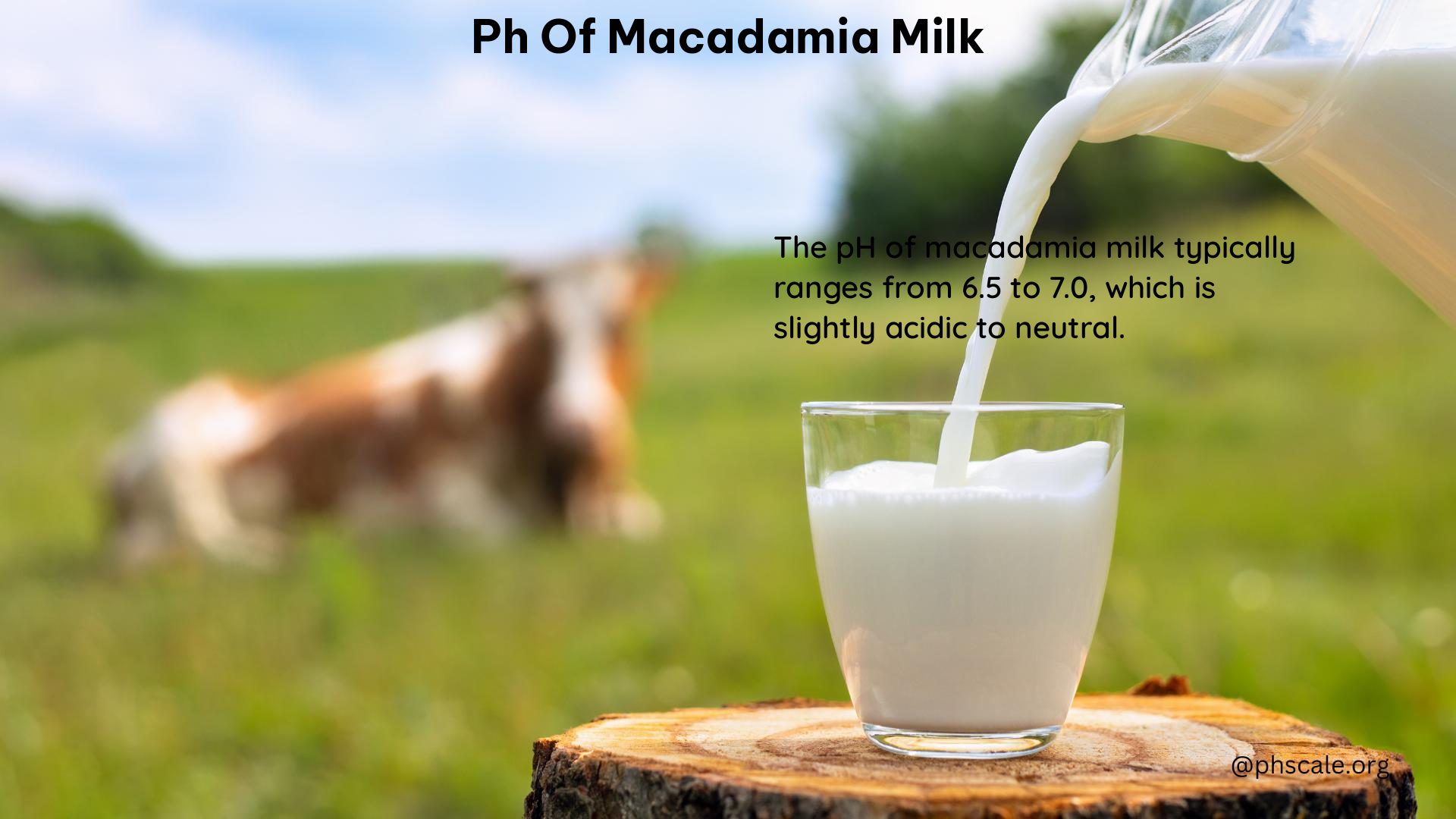 PH of Macadamia Milk