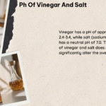 PH of Vinegar and Salt