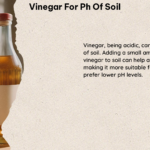 Vinegar for PH of Soil