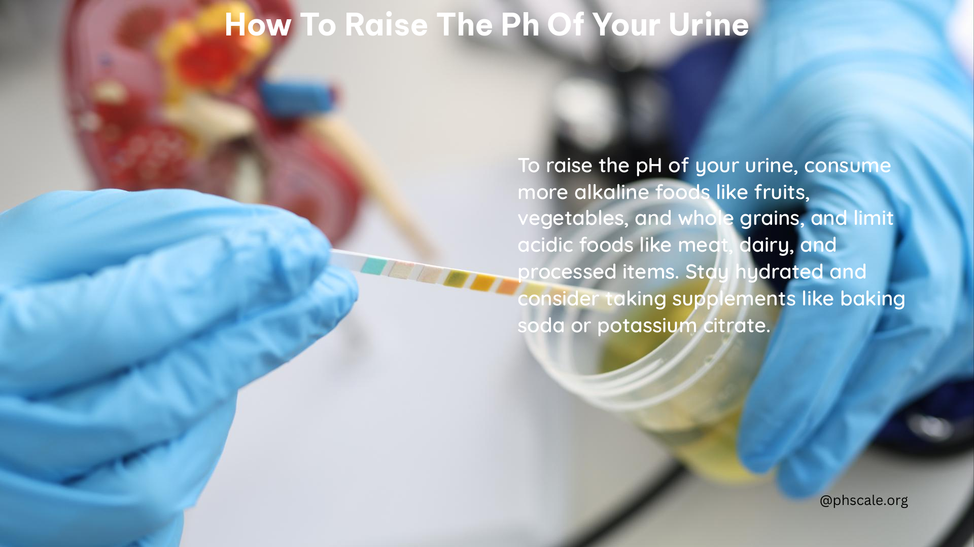 how to raise the ph of your urine