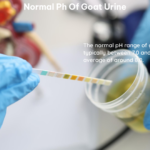 normal ph of goat urine