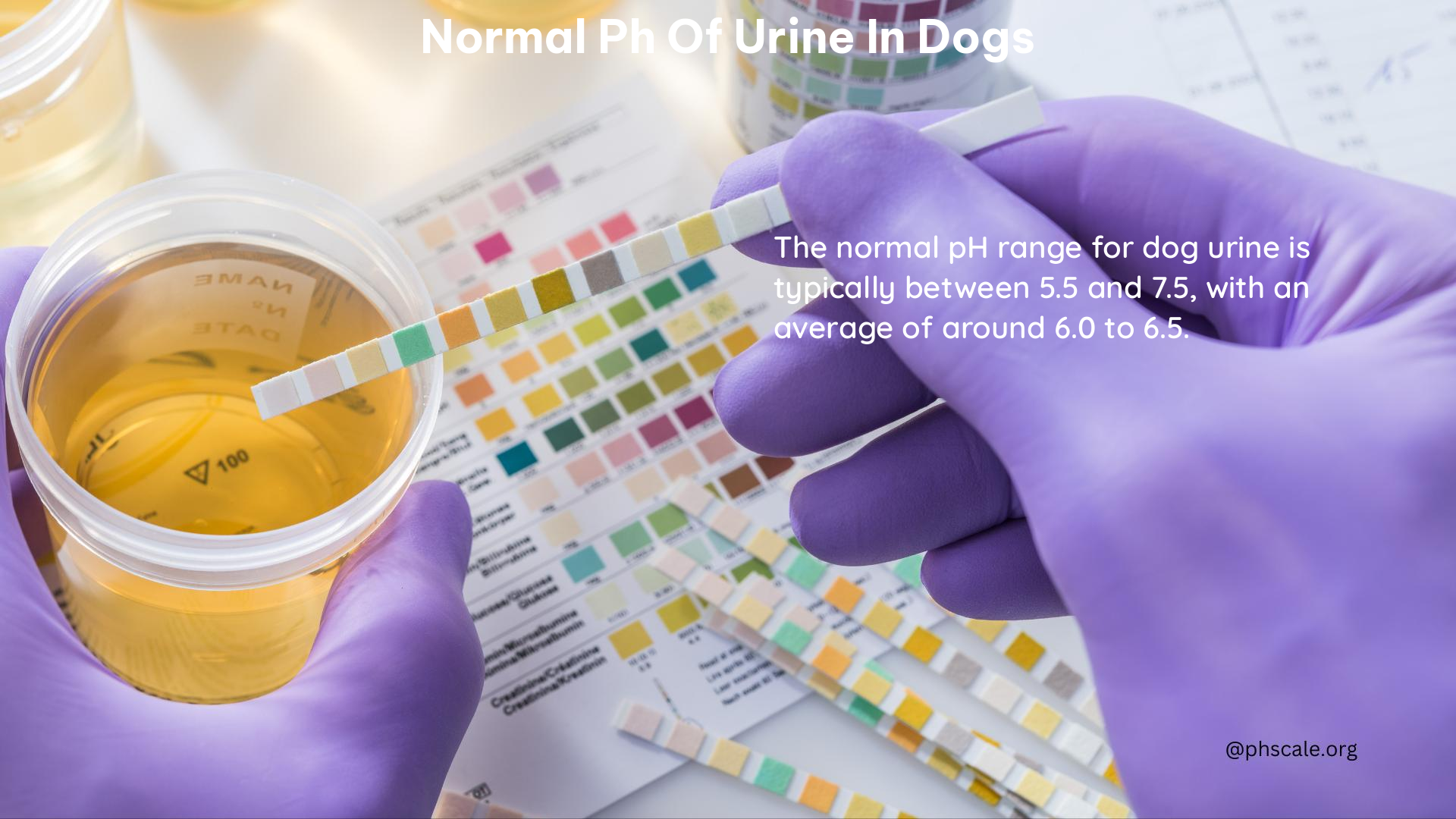 normal ph of urine in dogs