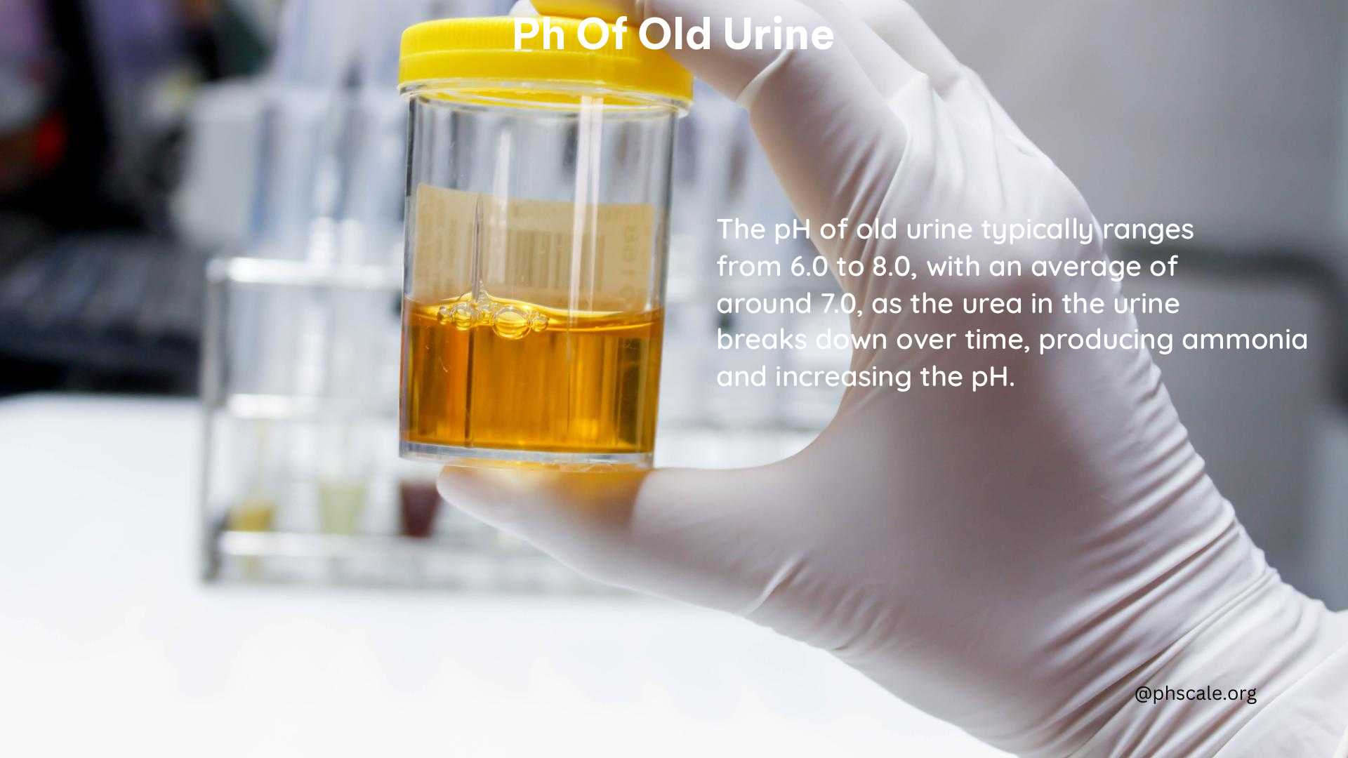 ph of old urine