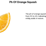 ph of orange squash