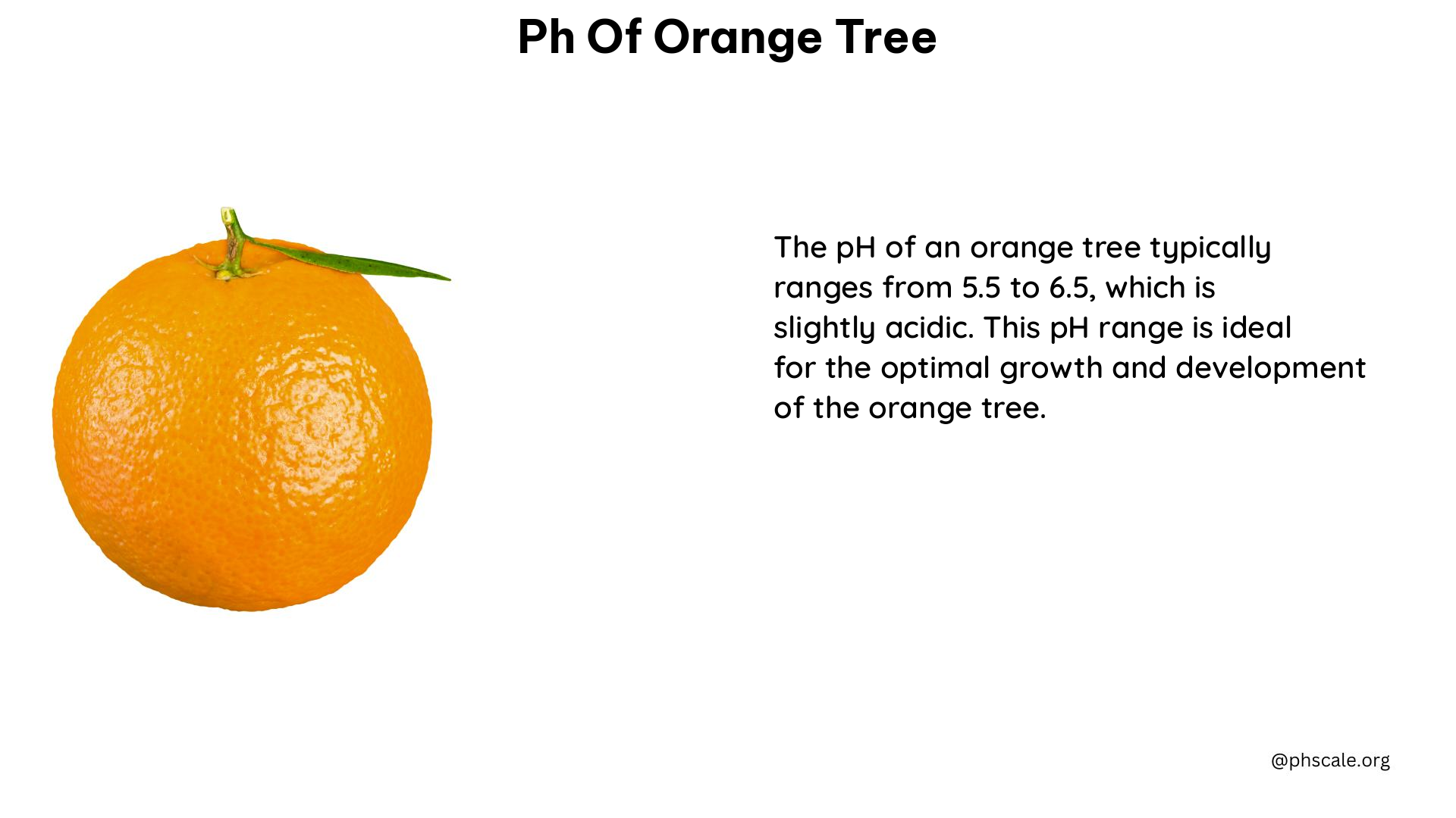 ph of orange tree