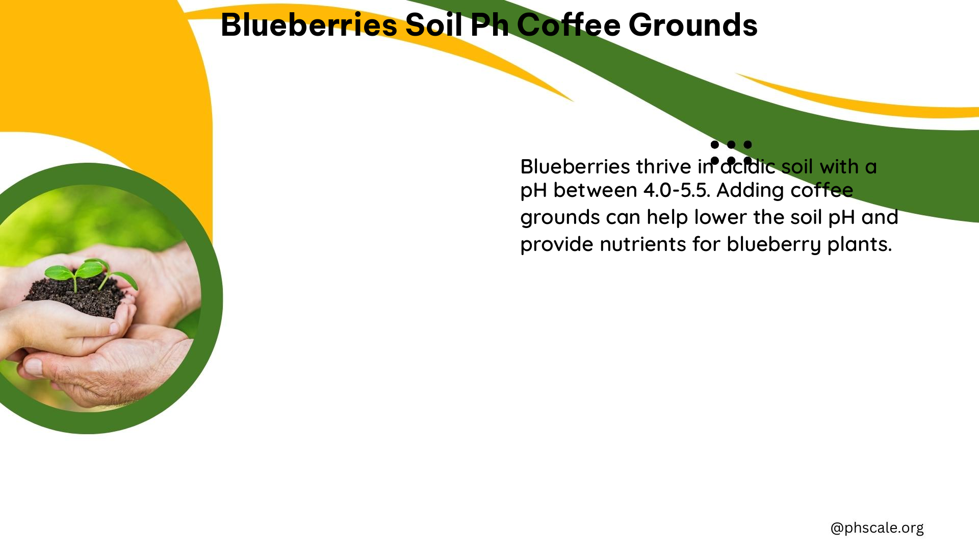 blueberries soil ph coffee grounds