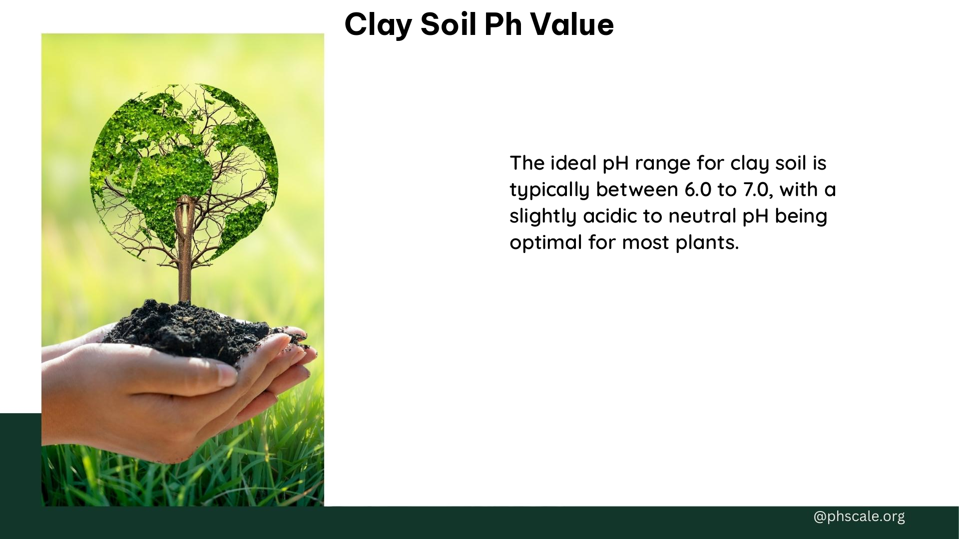 clay soil ph value