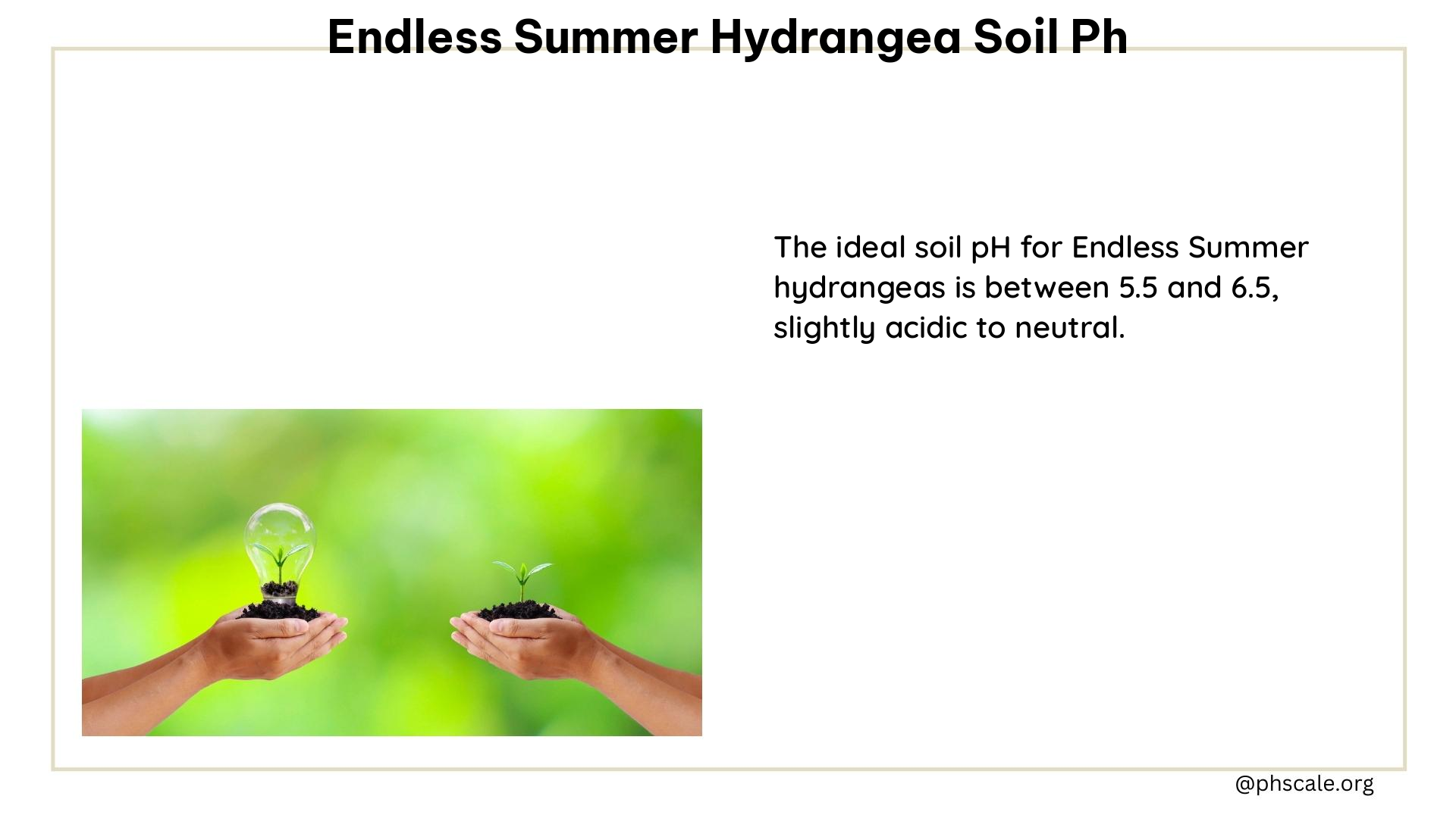 endless summer hydrangea soil ph