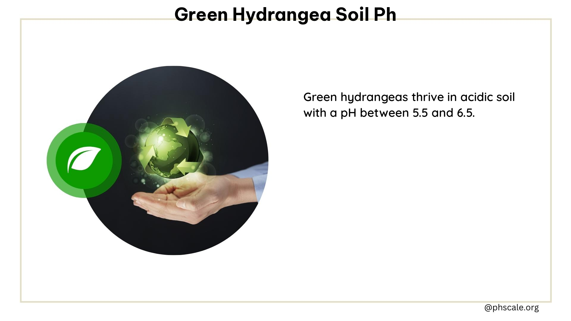 green hydrangea soil ph