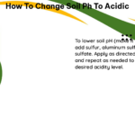 how to change soil ph to acidic