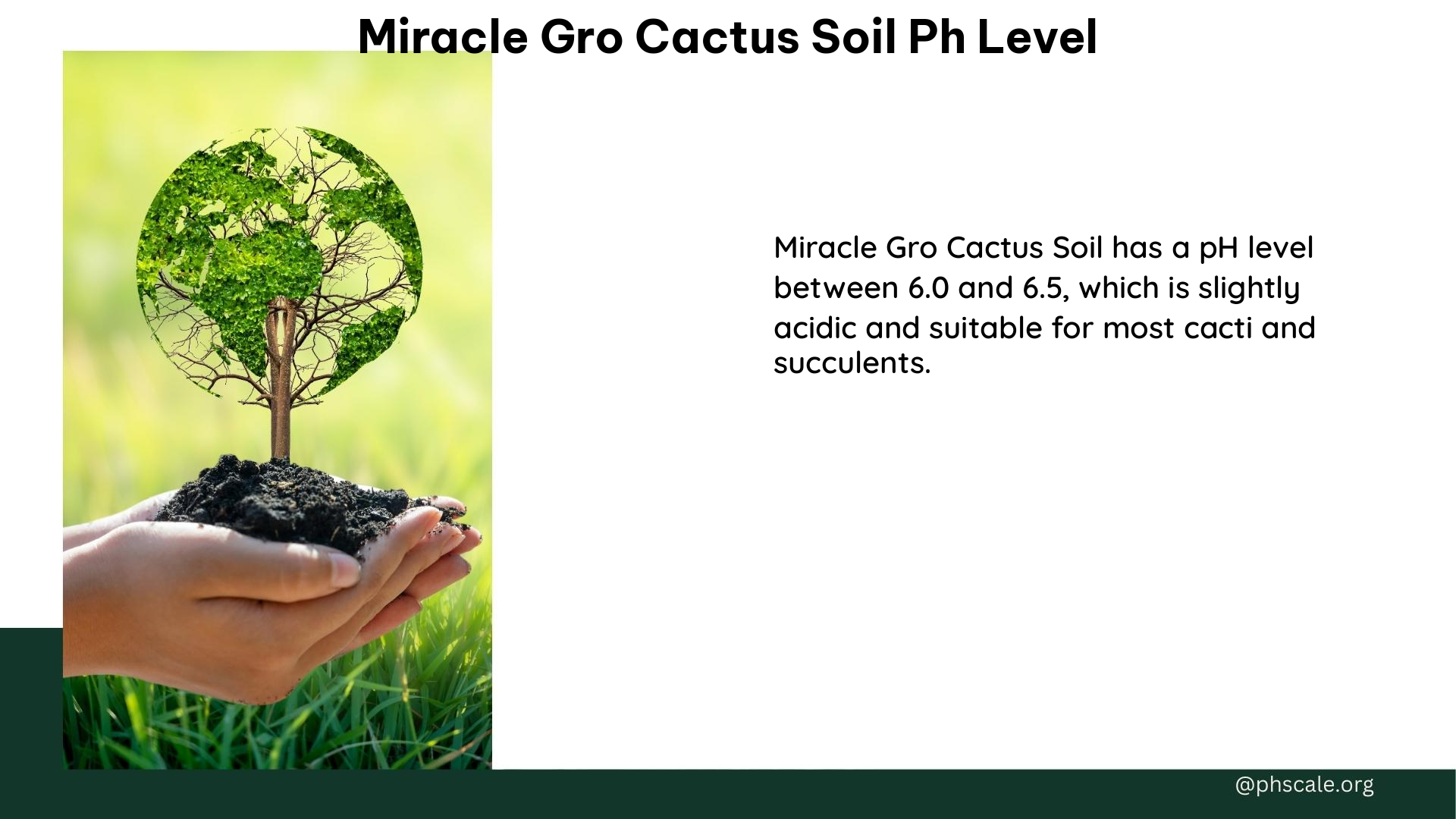 miracle gro cactus soil ph level