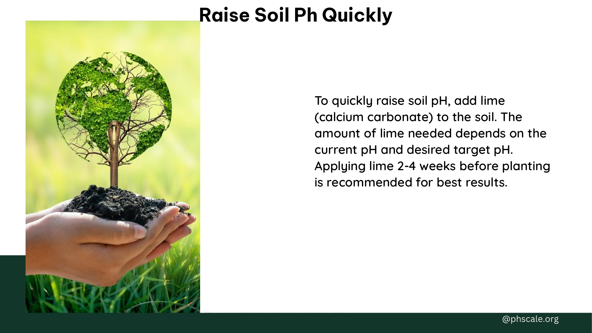 raise soil ph quickly