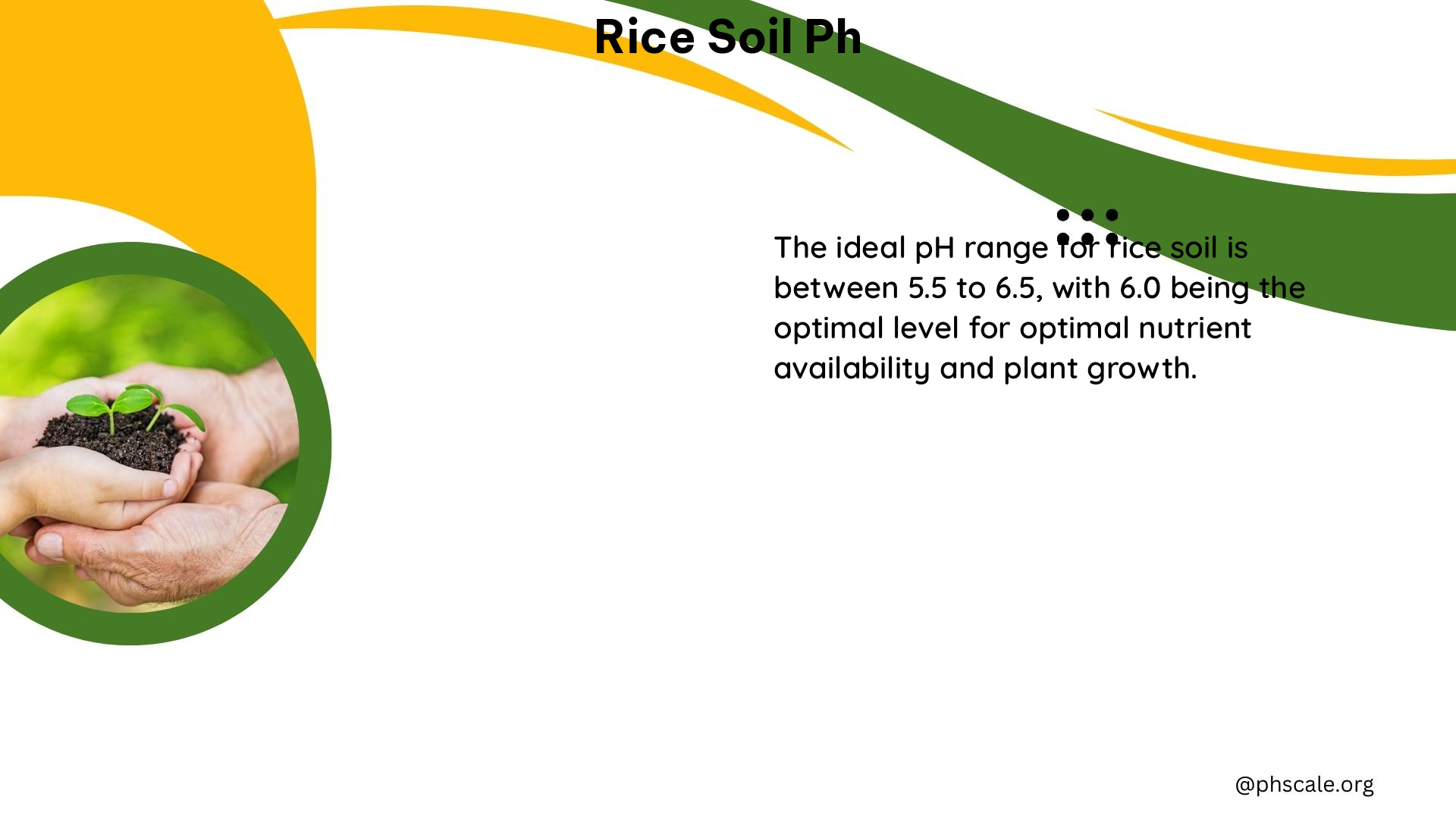 rice soil ph