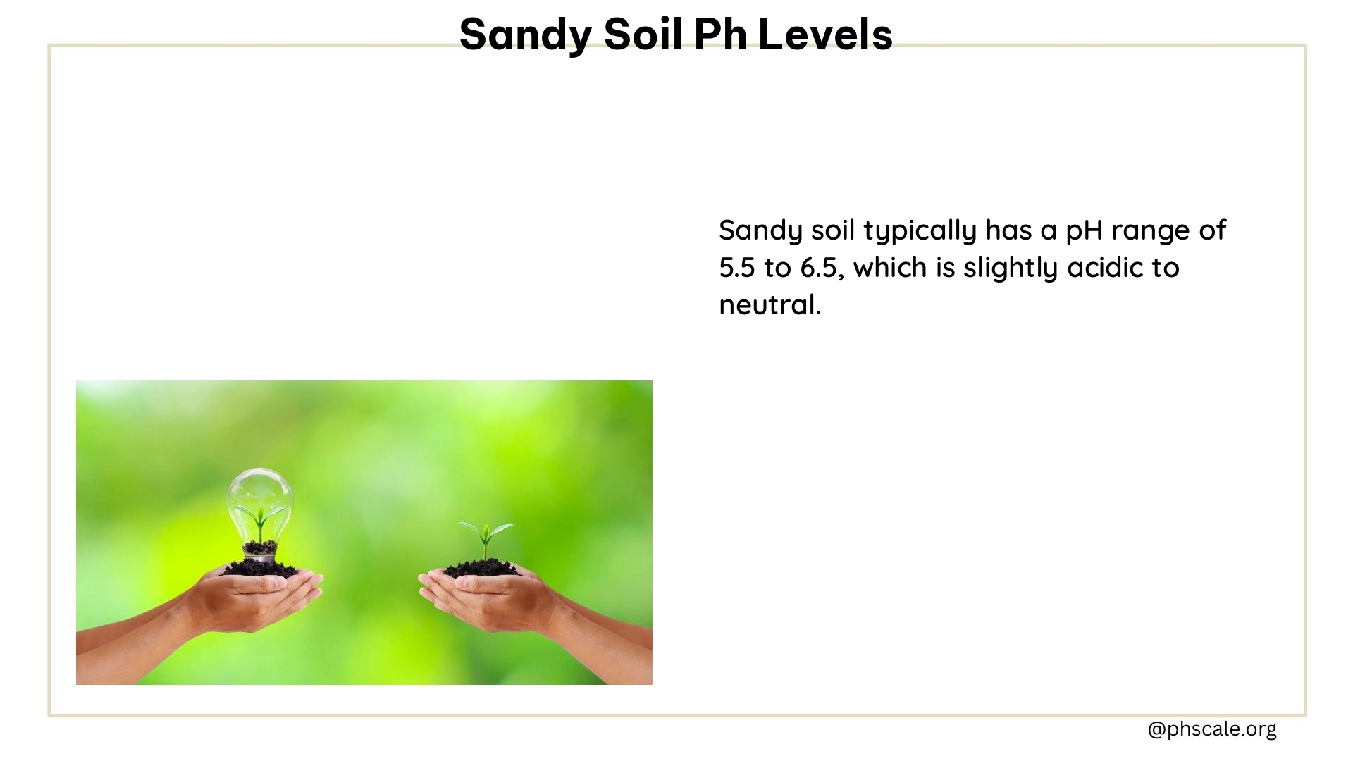 sandy soil ph levels