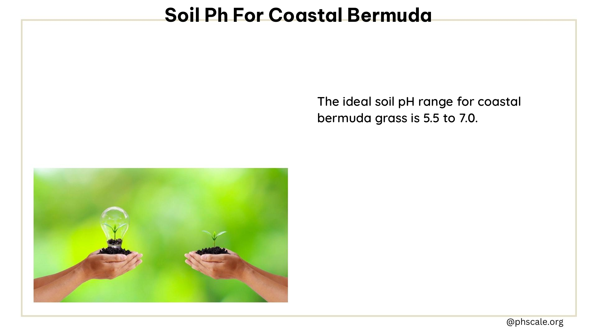 soil ph for coastal bermuda