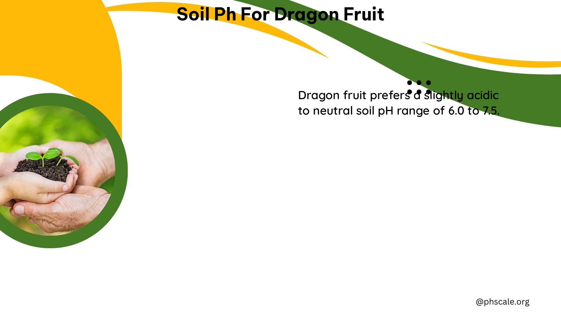 soil ph for dragon fruit