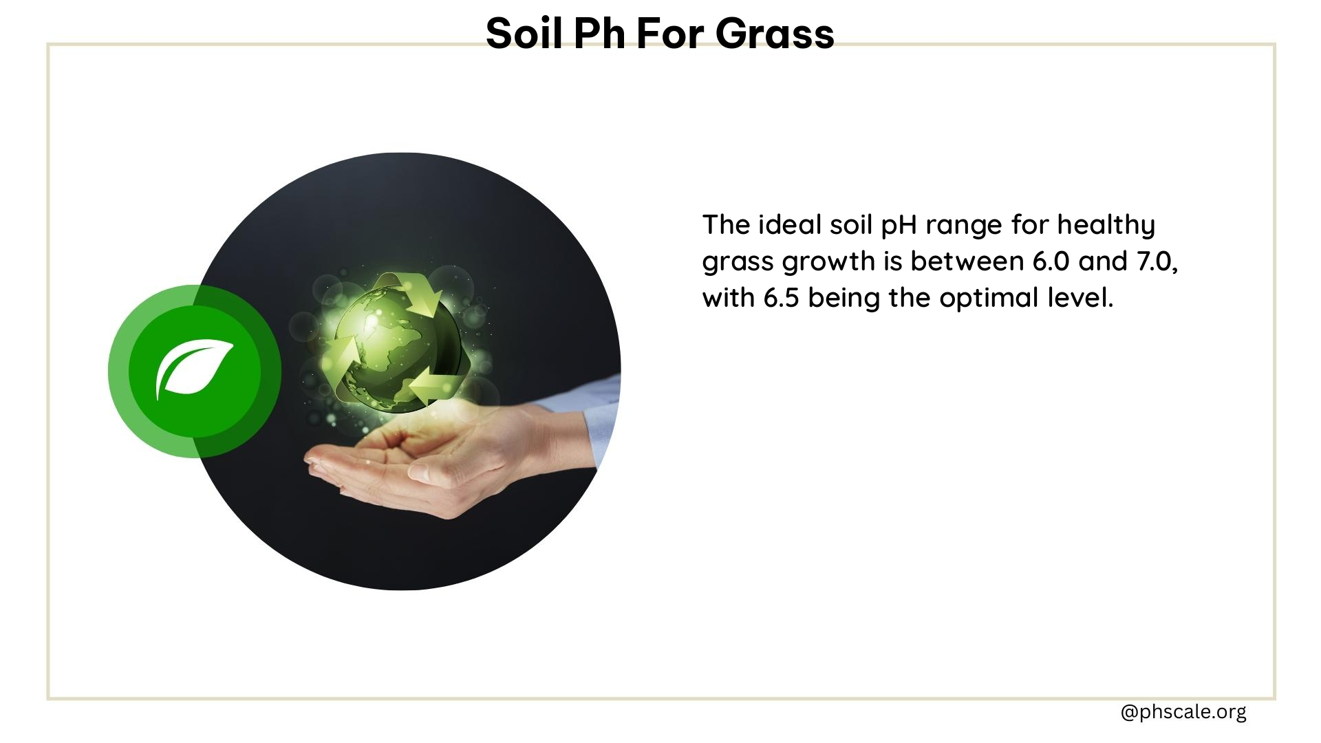 soil ph for grass