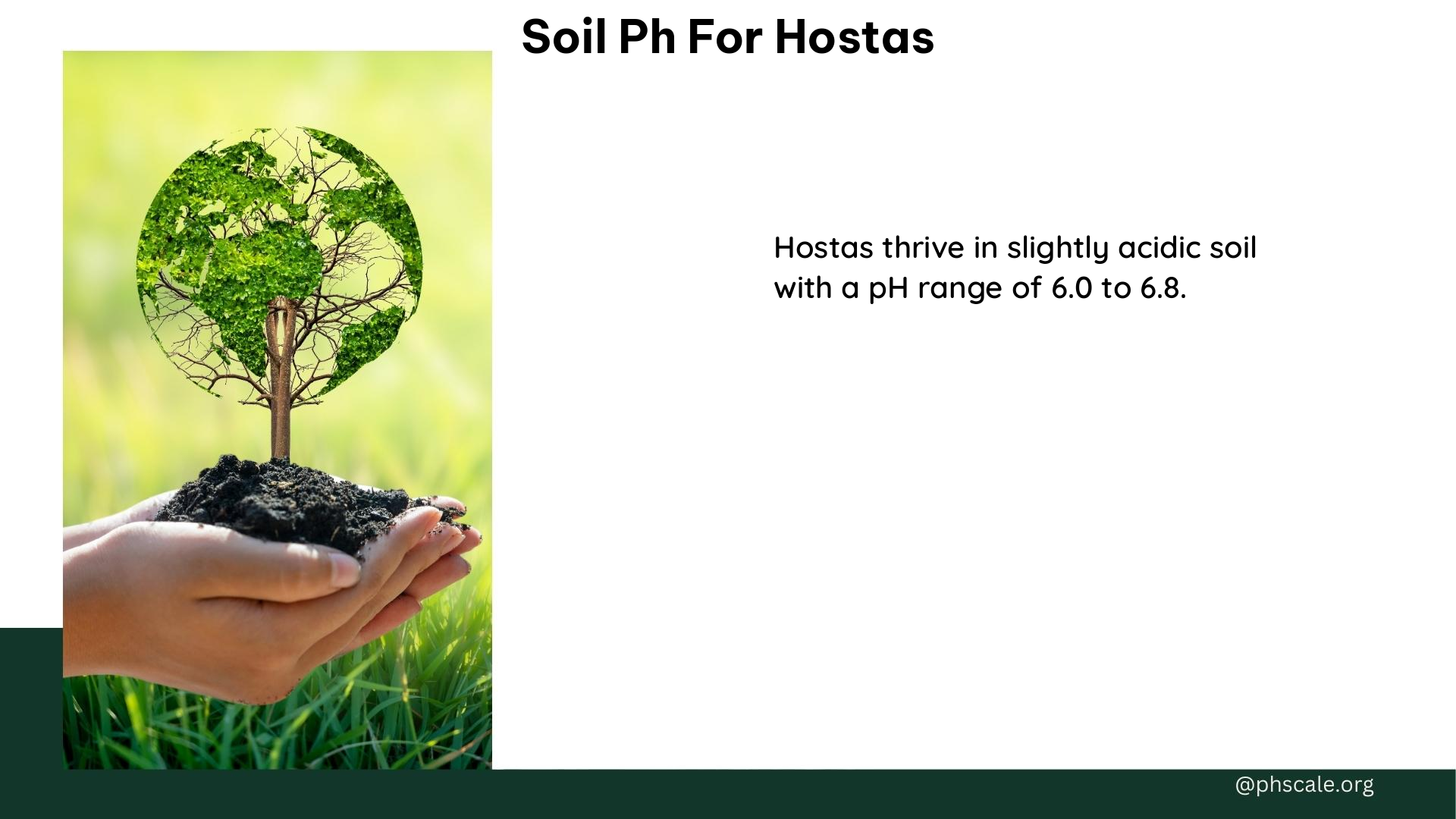 soil ph for hostas