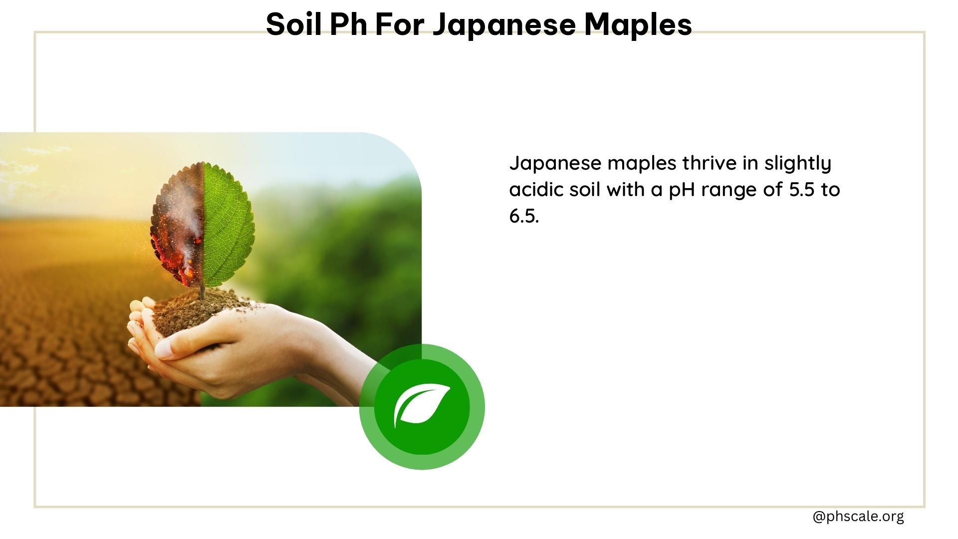 soil ph for japanese maples