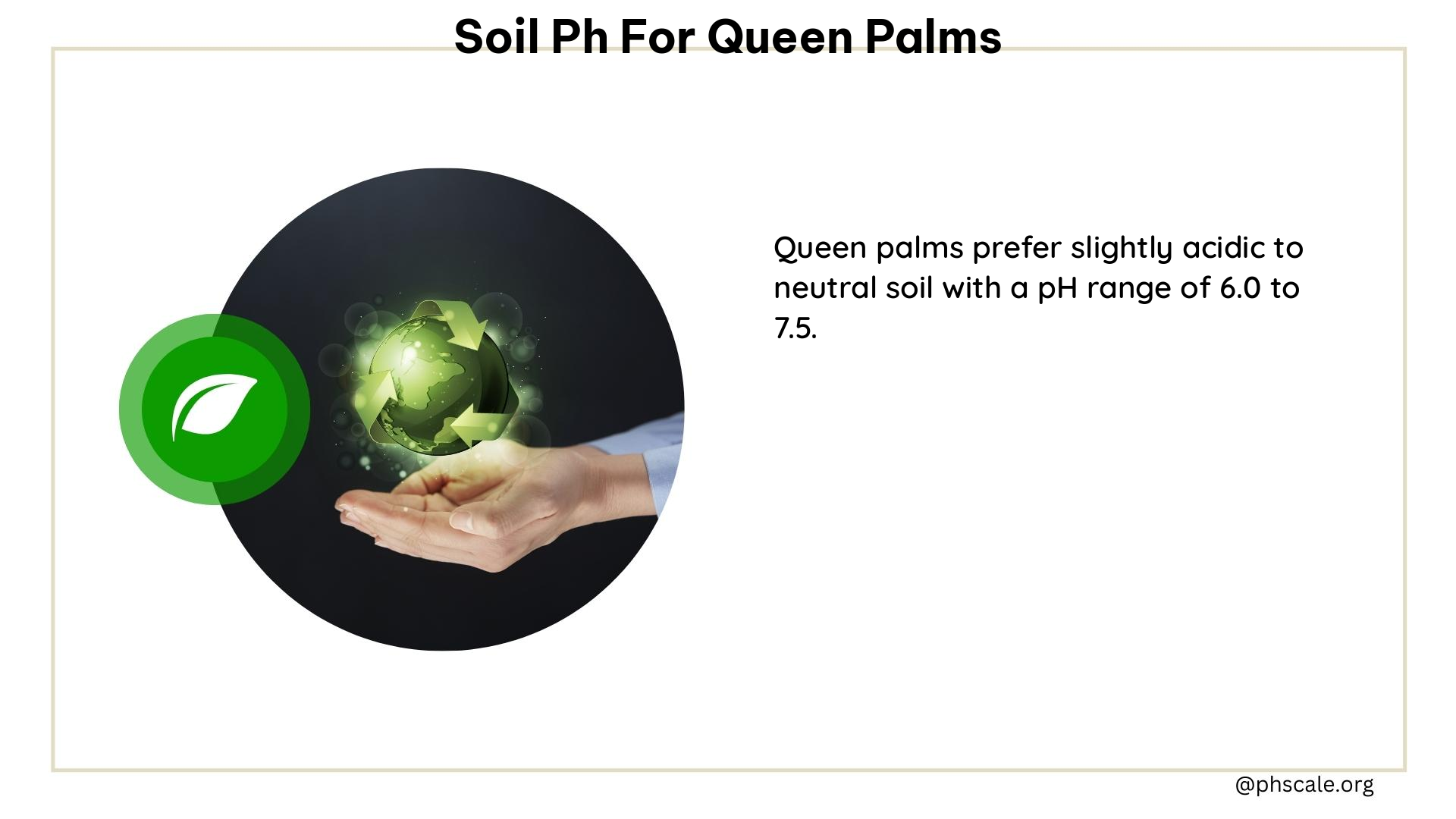 soil ph for queen palms