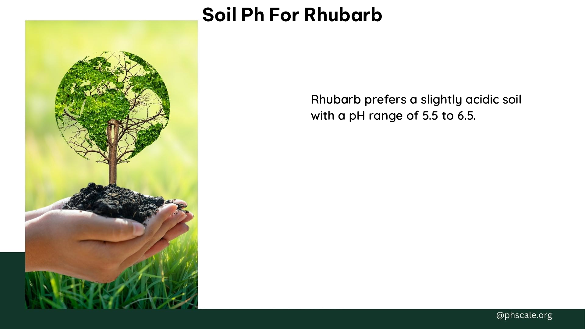 soil ph for rhubarb