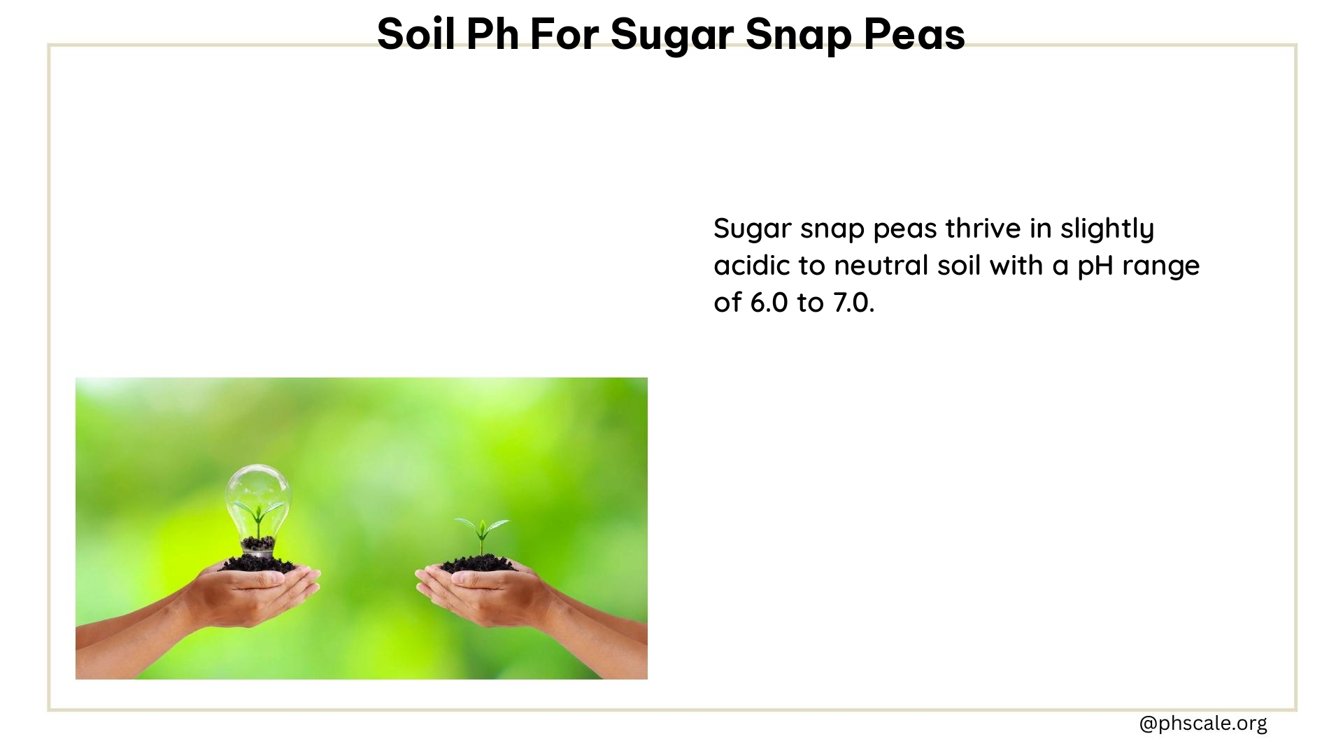 soil ph for sugar snap peas