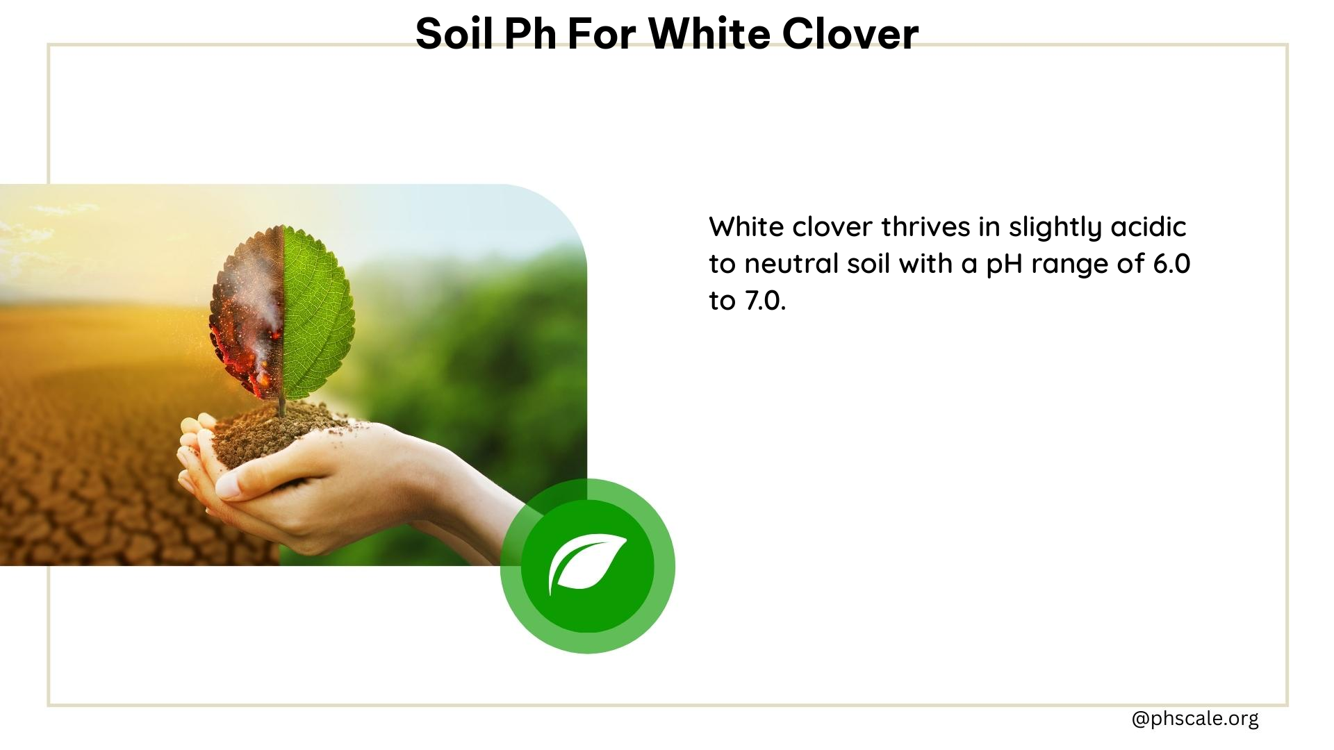 soil ph for white clover