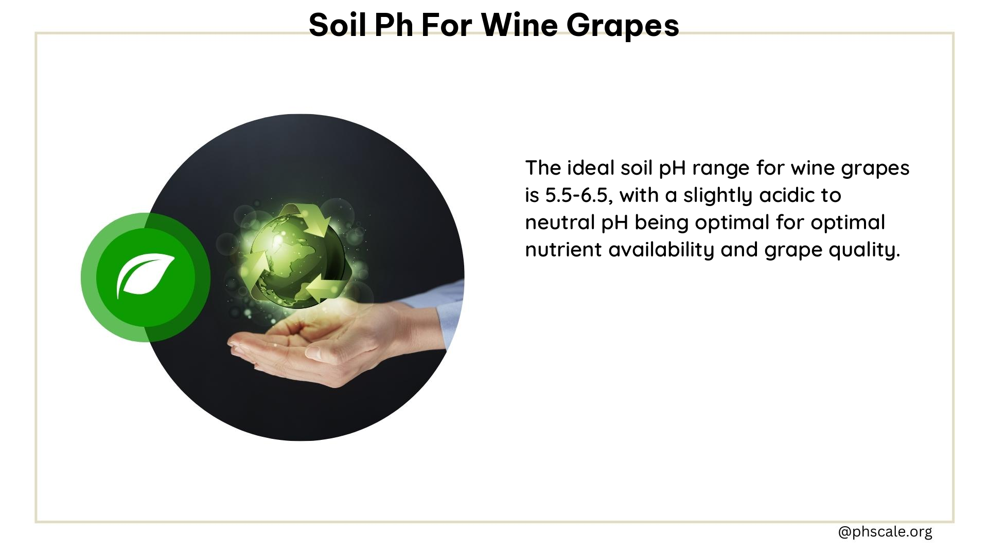 soil ph for wine grapes