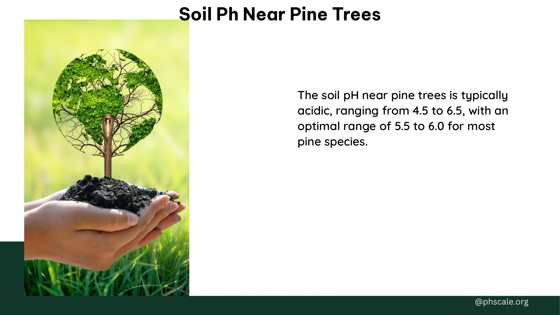 soil ph near pine trees