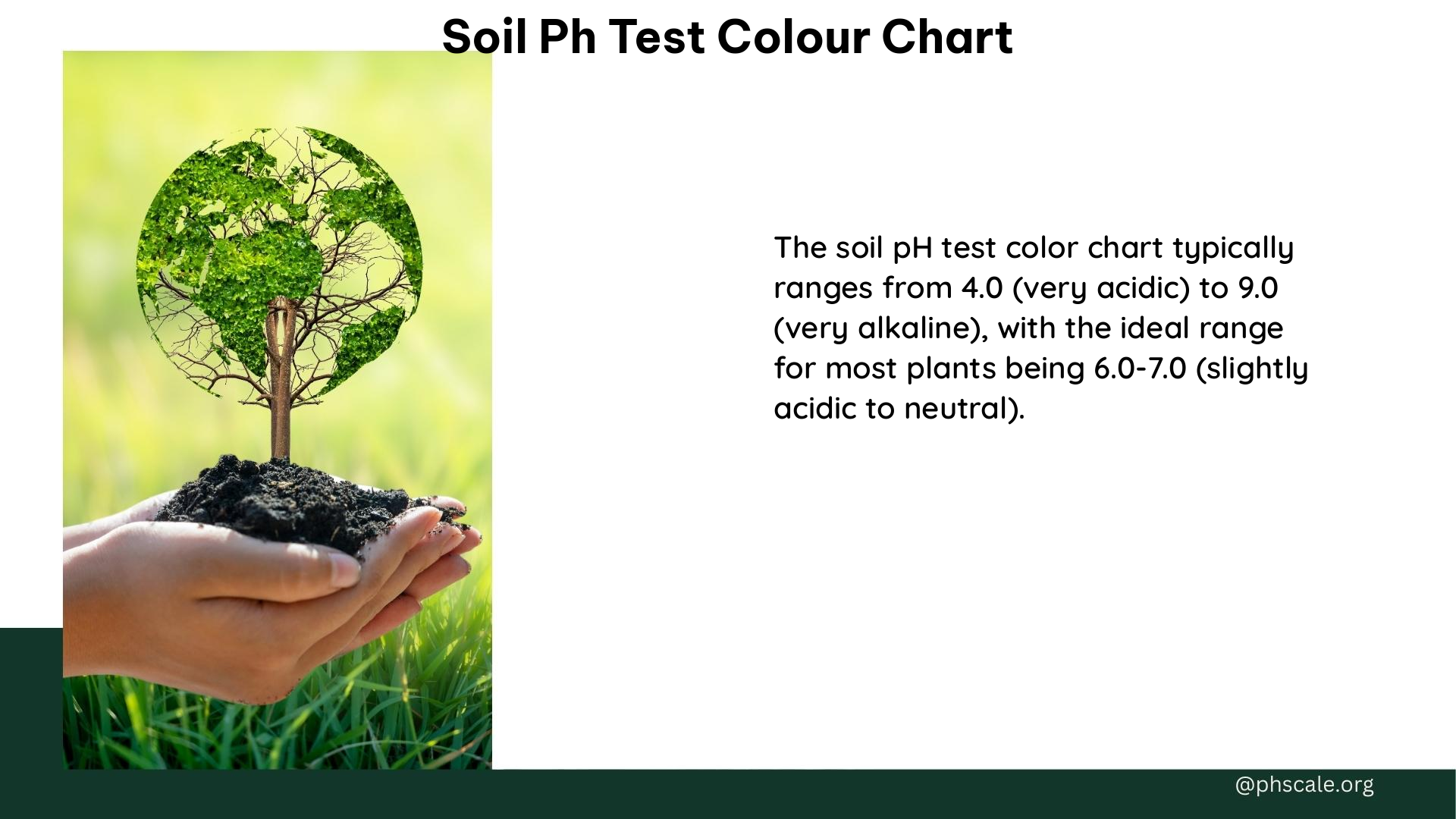 soil ph test colour chart