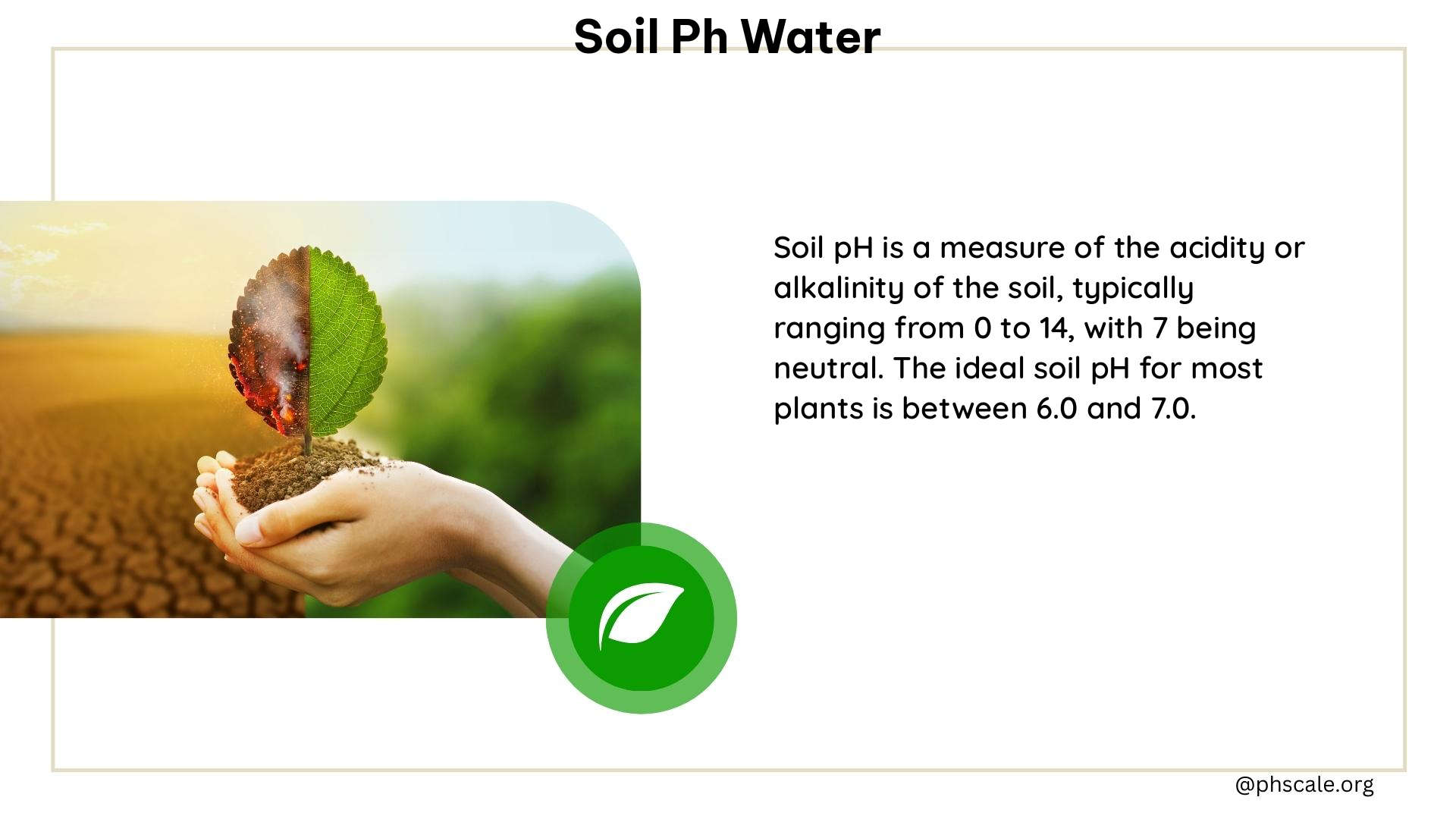 soil ph water