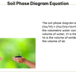 Soil pH Near Pine Trees: Understanding the Dynamics - phscale.org