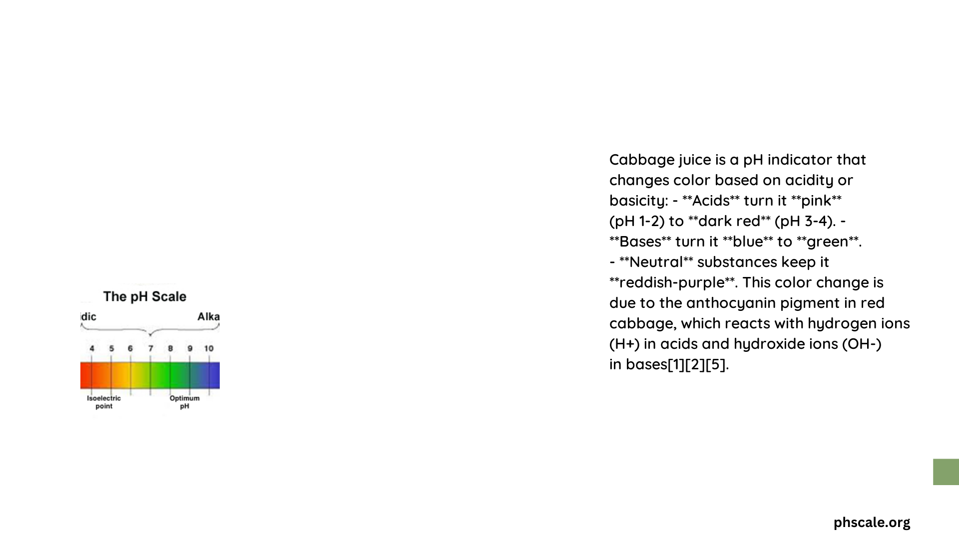 acids and bases cabbage juice ph indicator