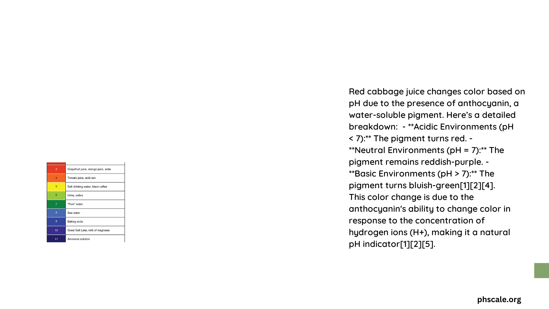 cabbage juice color change ph