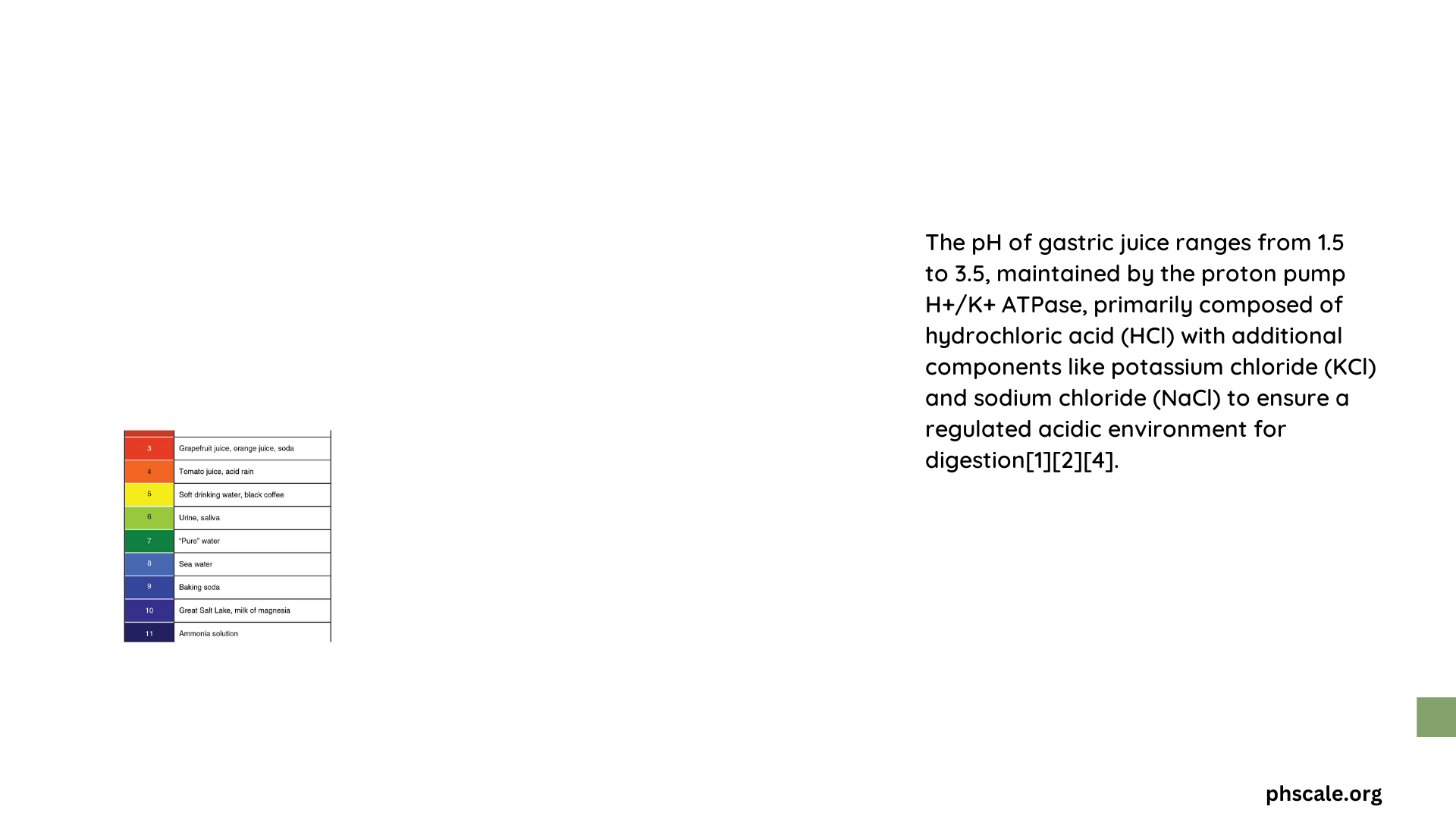 gastric juice ph scale