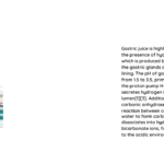 what gives gastric juice its acidic ph